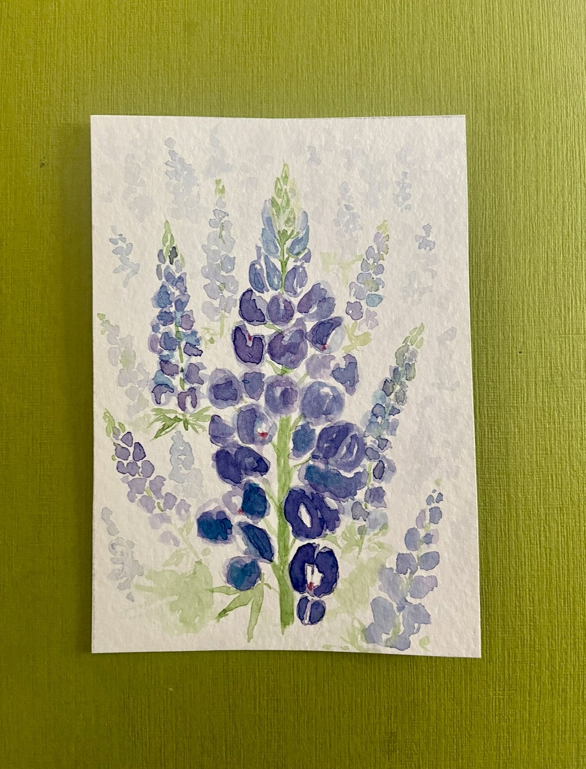 Bluebonnet print